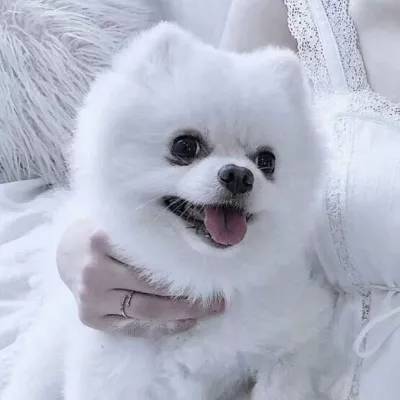 开云注册·官方网站