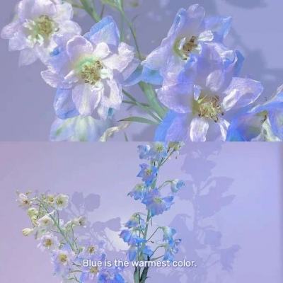 ManBetx万博全站APP最新版截图