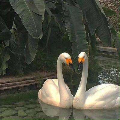 云开平台APP官方全站APP入口手机app下载