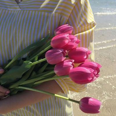 pg游戏官方网站