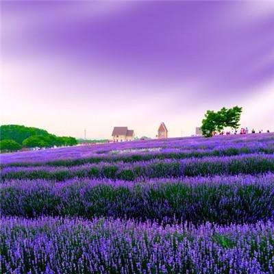 乐发app下载安装官网