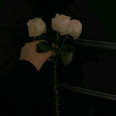 澳门新莆京游戏大厅手机app下载